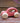 Tales of Copenhagen - Bon Bon Auto aus Holz