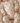 Okker-Gokker - Jersey-heldragt med bamser, beige