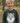 Danefæ DYR - Dyrbellow - Sweatshirt med ulv, grøn